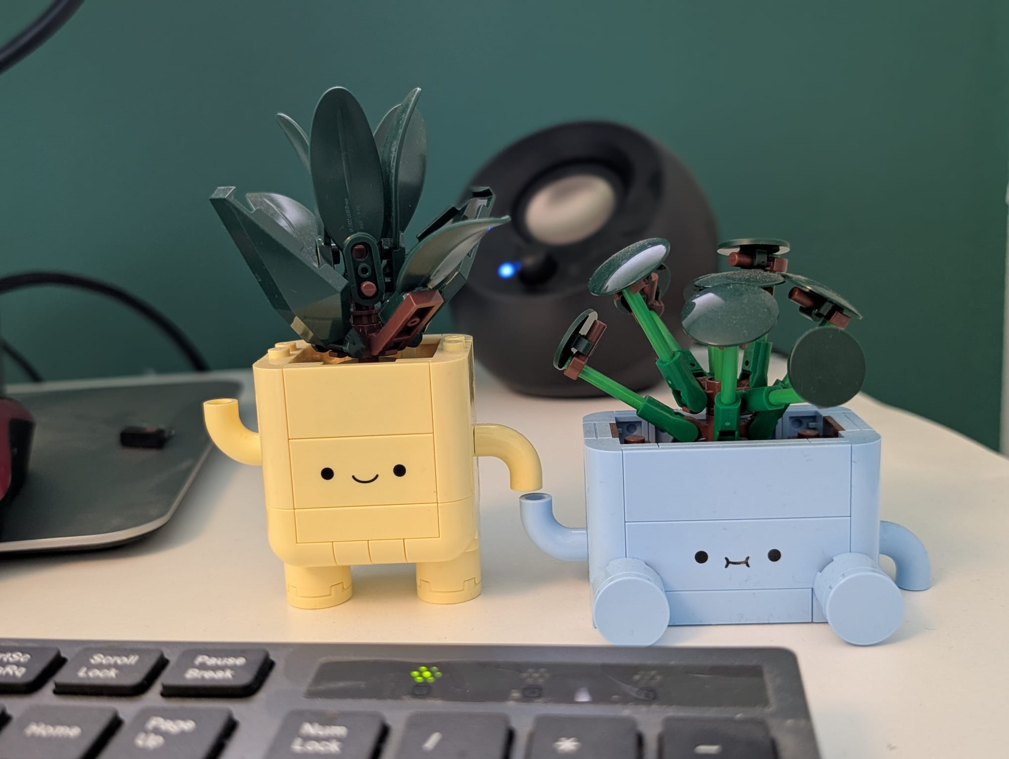 Featured image for “Rośliny w pracy”